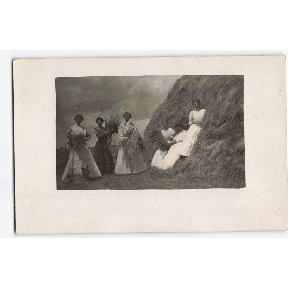 RPPC 1910 Hillsdale Wyoming WY Women Wheat Harvest Real Photo Postcard